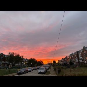 Meet your Posher, Bartholomew